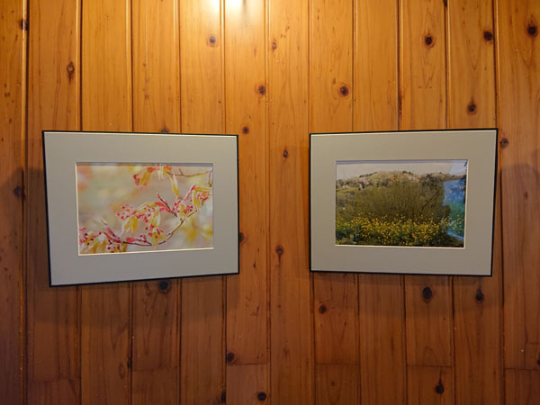 写真展風景_6