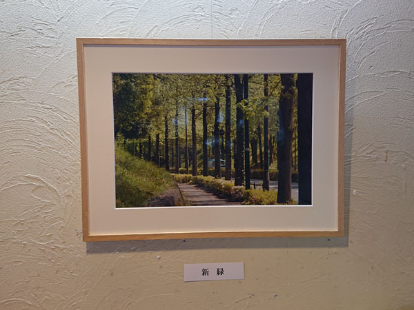 写真展風景_16