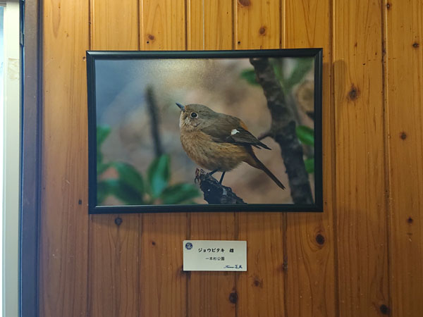 写真展風景_9