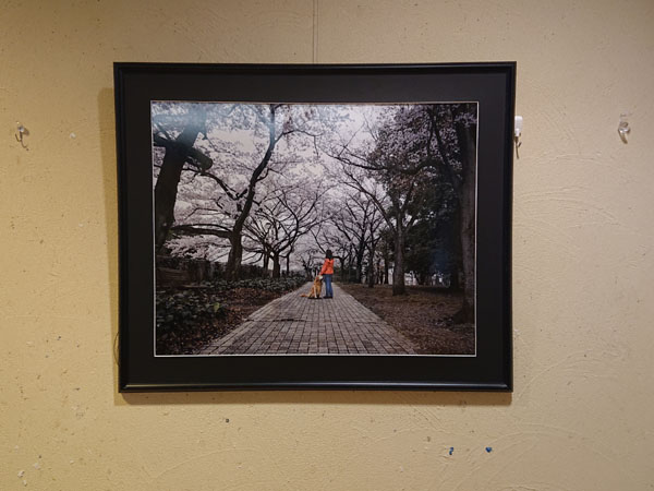 写真展風景_9