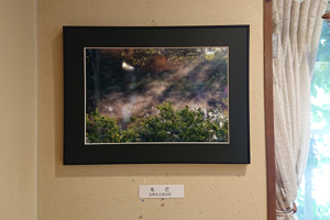 写真展風景_7