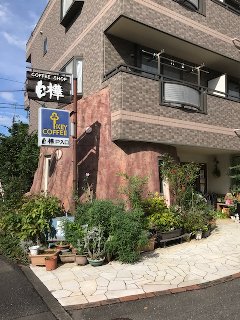 白樺1