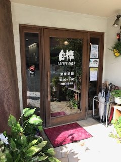 白樺2